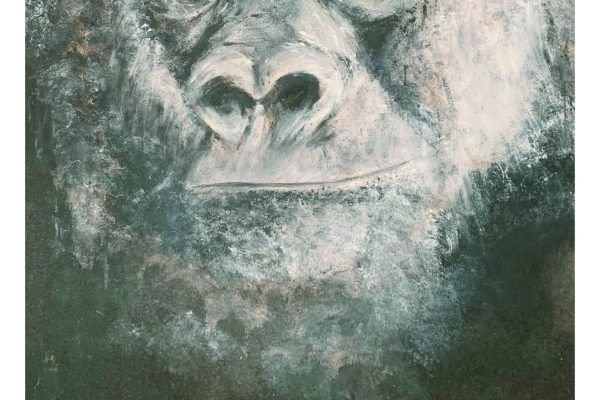 L’exposició ‘Mirades’, de Mònica Bonanad, al CECV-AH
