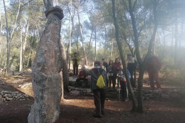Recorrent la pedra seca de Castellar al Tomb per la Història